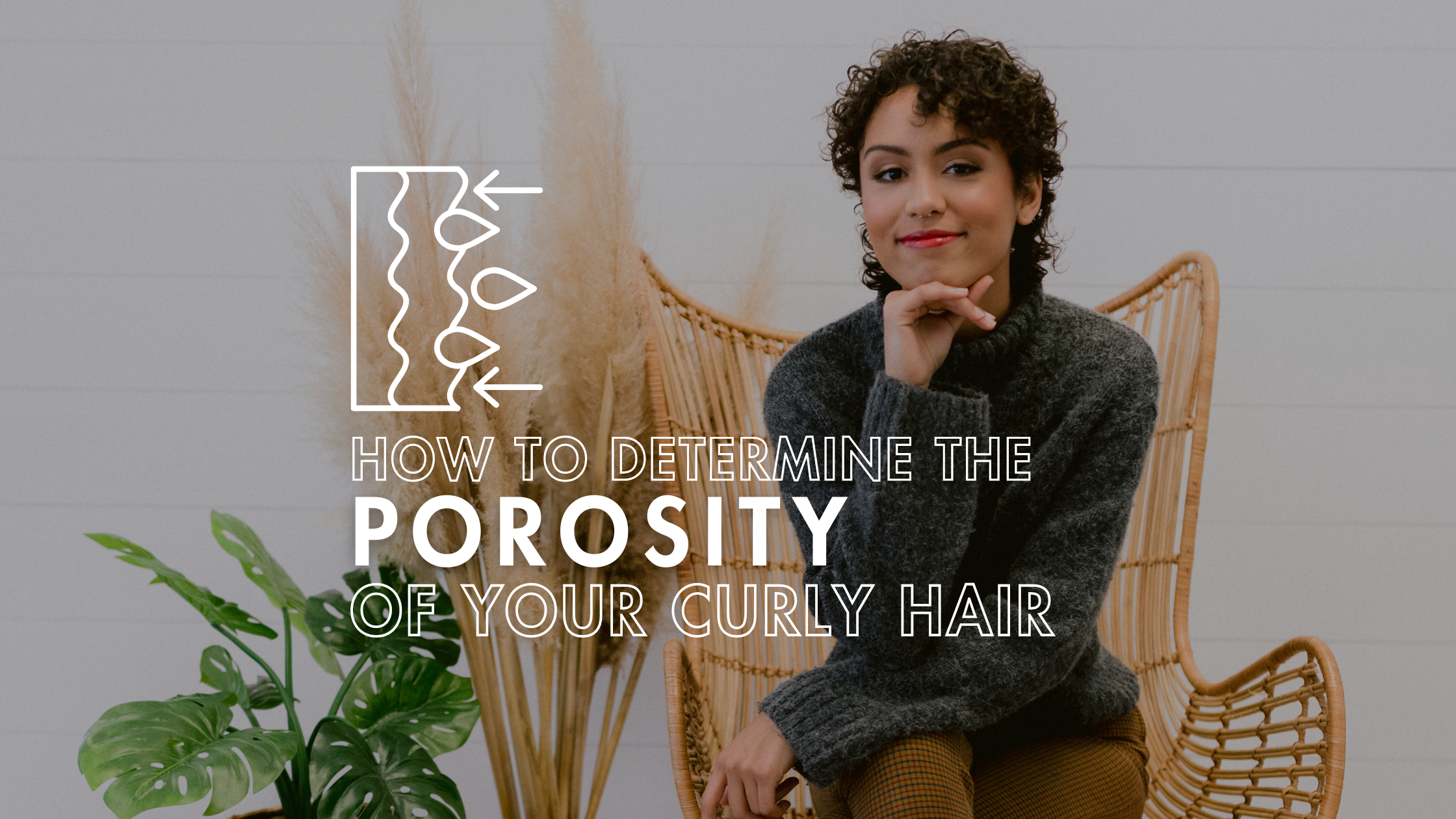 How to Determine the Porosity of Your Curly Hair - Moptop Hair